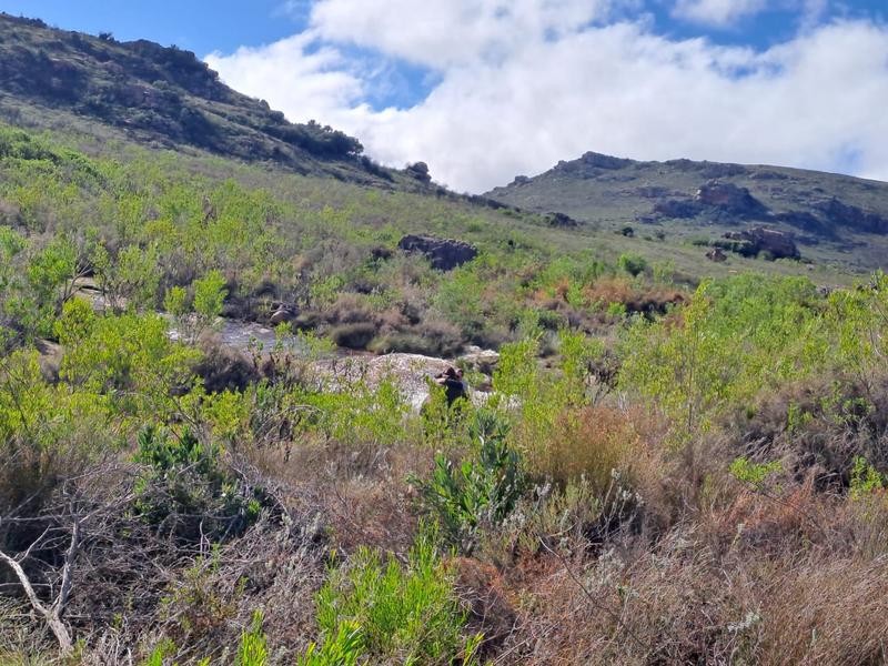 0 Bedroom Property for Sale in Piketberg Rural Western Cape
